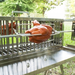 Stainless Steel Spit Rotisserie Twin Vertical Double Spit BBQ Grill